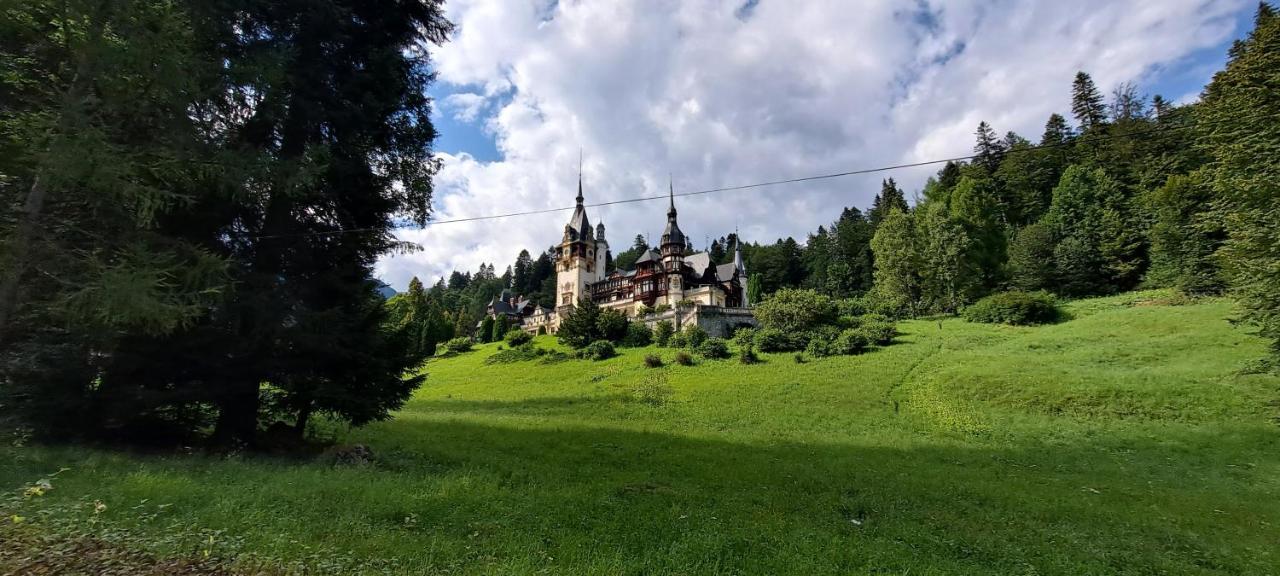 Sinaia Relax Residence Kültér fotó